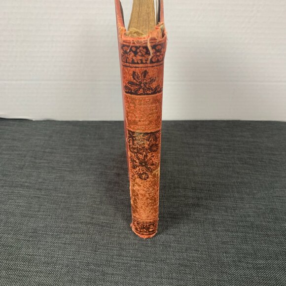 Our Brother in Black: His Freedom and His Future 1887 HAYGOOD, Atticus G. - Picture 3 of 16